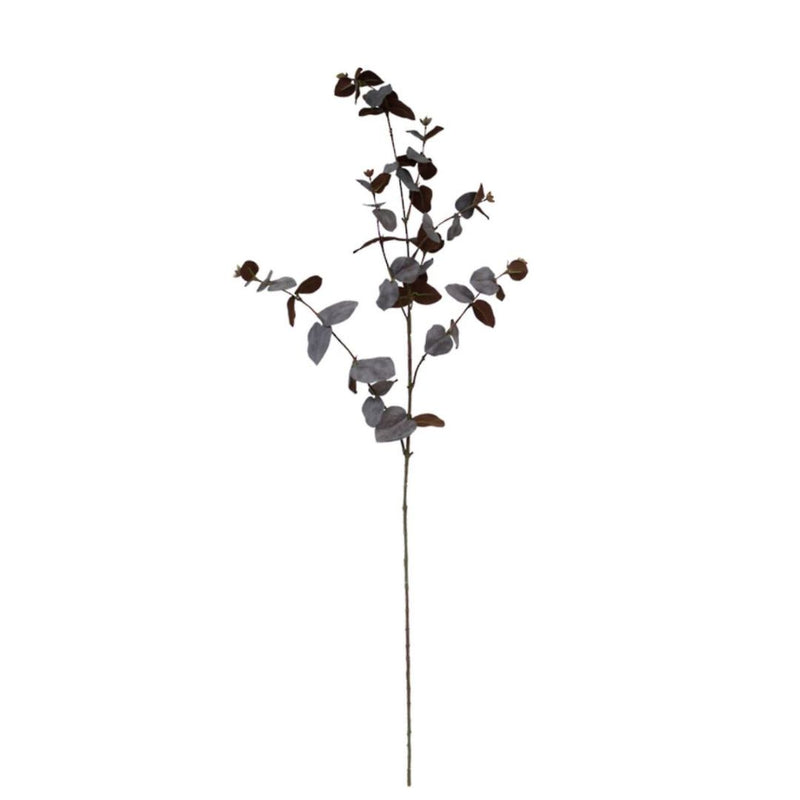 Large Eucalyptus Spray: Brown - 86cm