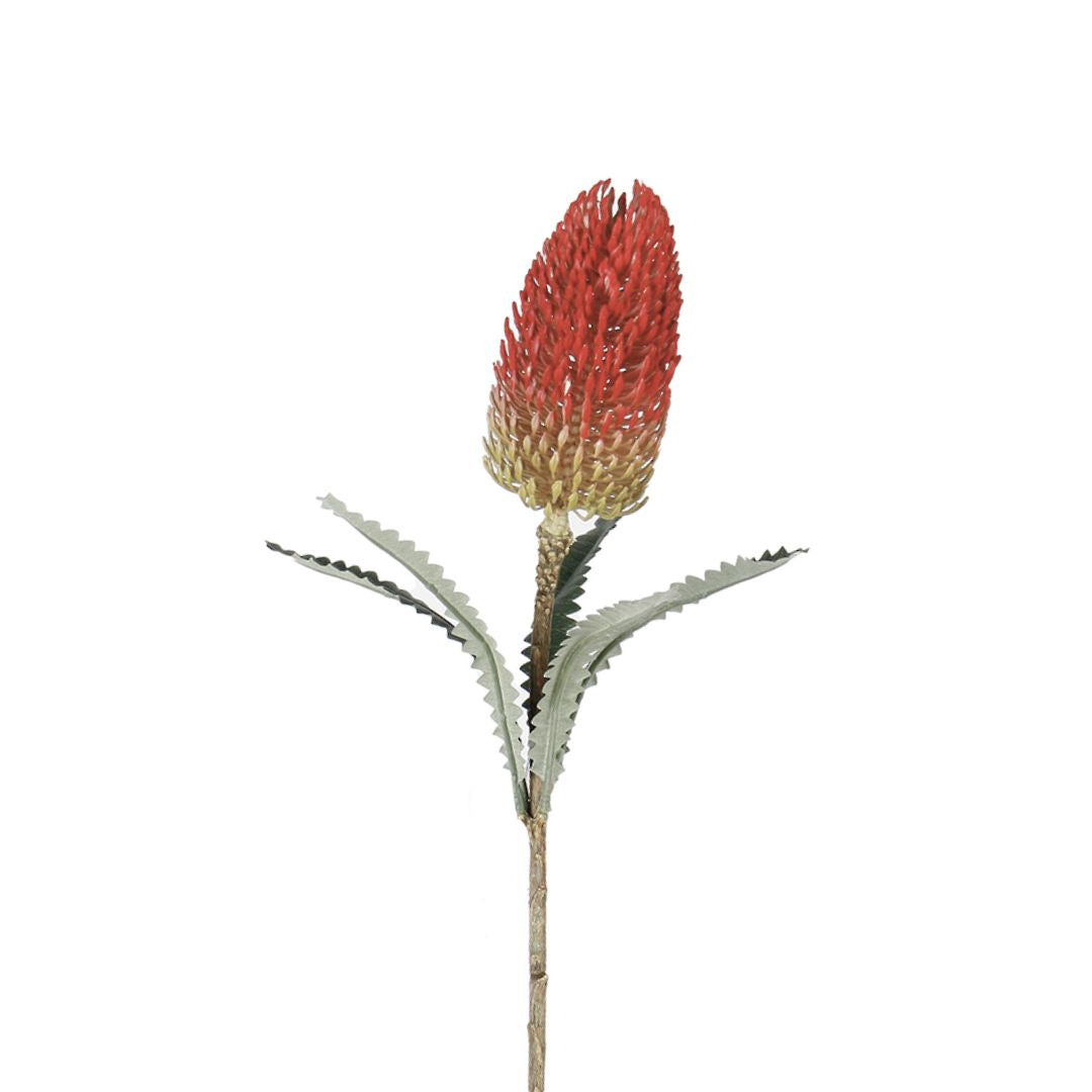 Banksia Spray - Red