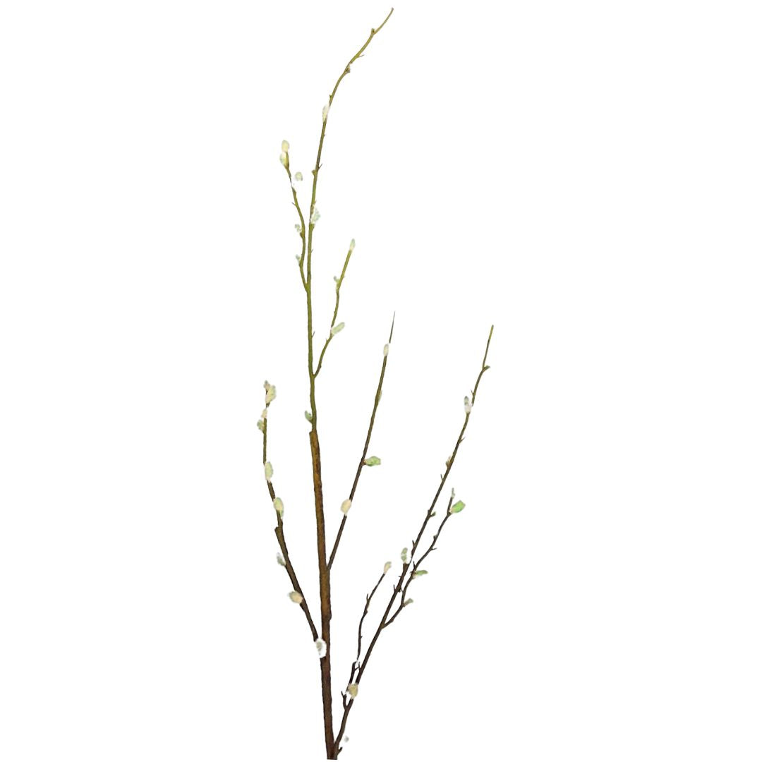 Spring Pussy Willow - Grey