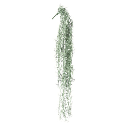 Spanish Moss - Green Grey