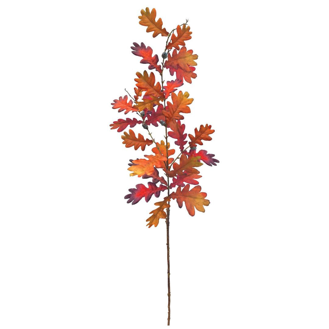 Tall Autumn Oak - Chestnut