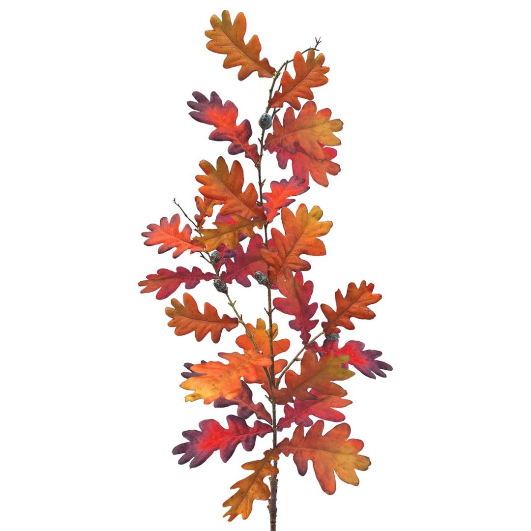 Tall Autumn Oak - Chestnut