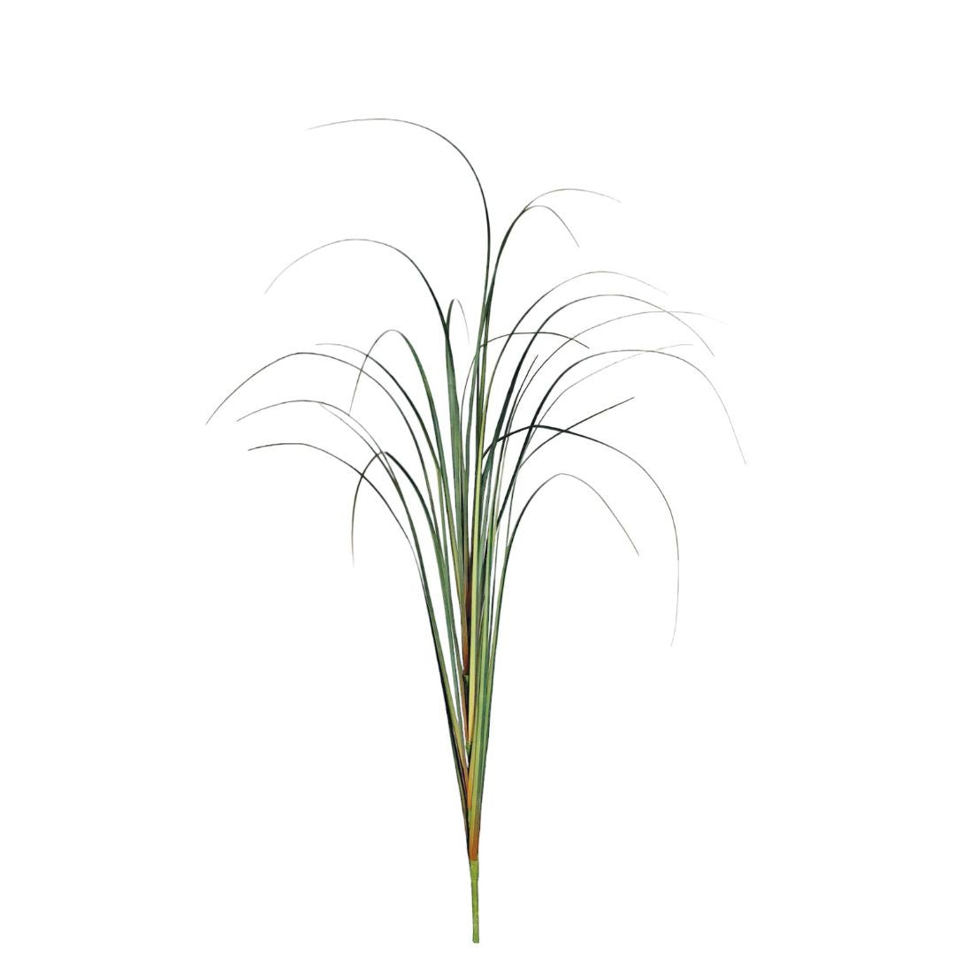 Tall Grass - Green