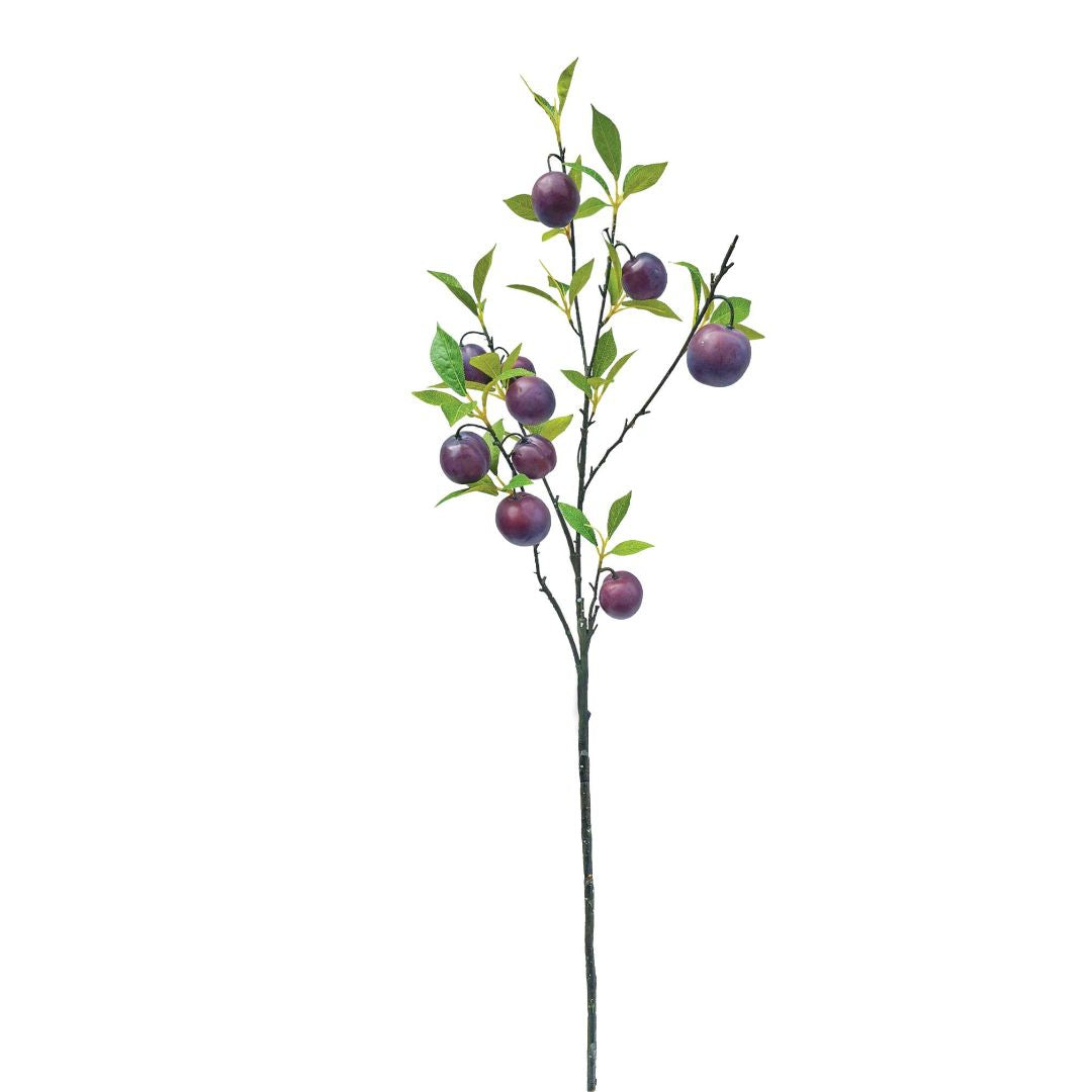 Tall Plum Branch - Wine