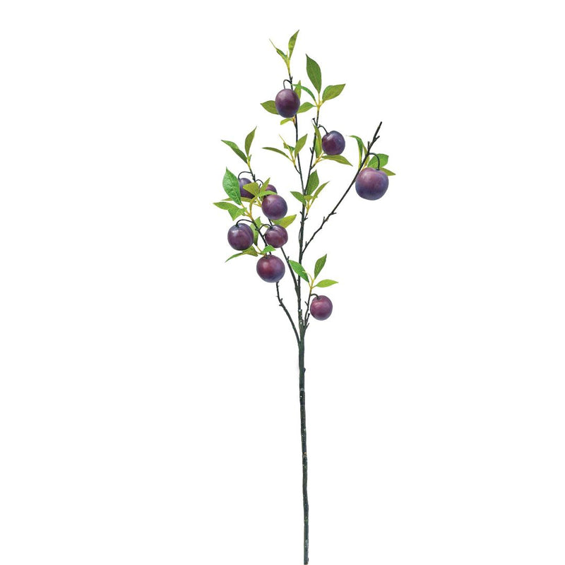 Tall Plum Branch - Wine