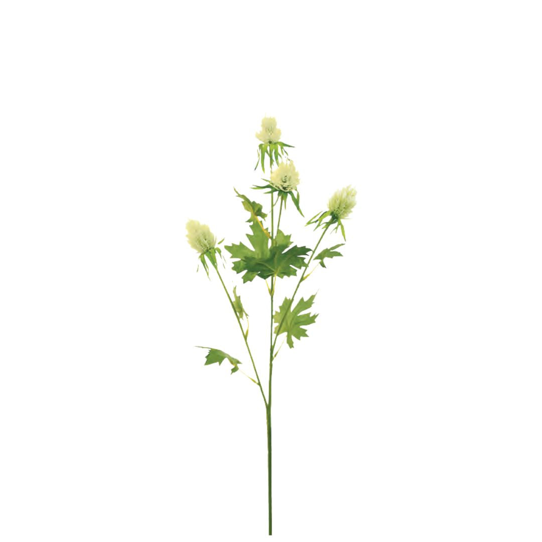 Tall Thistle: Green