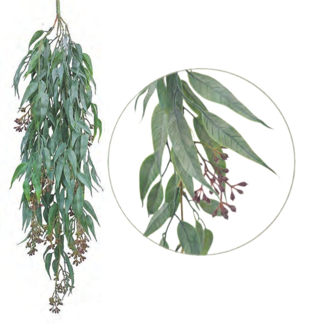 Weeping Gum - Grey/Green