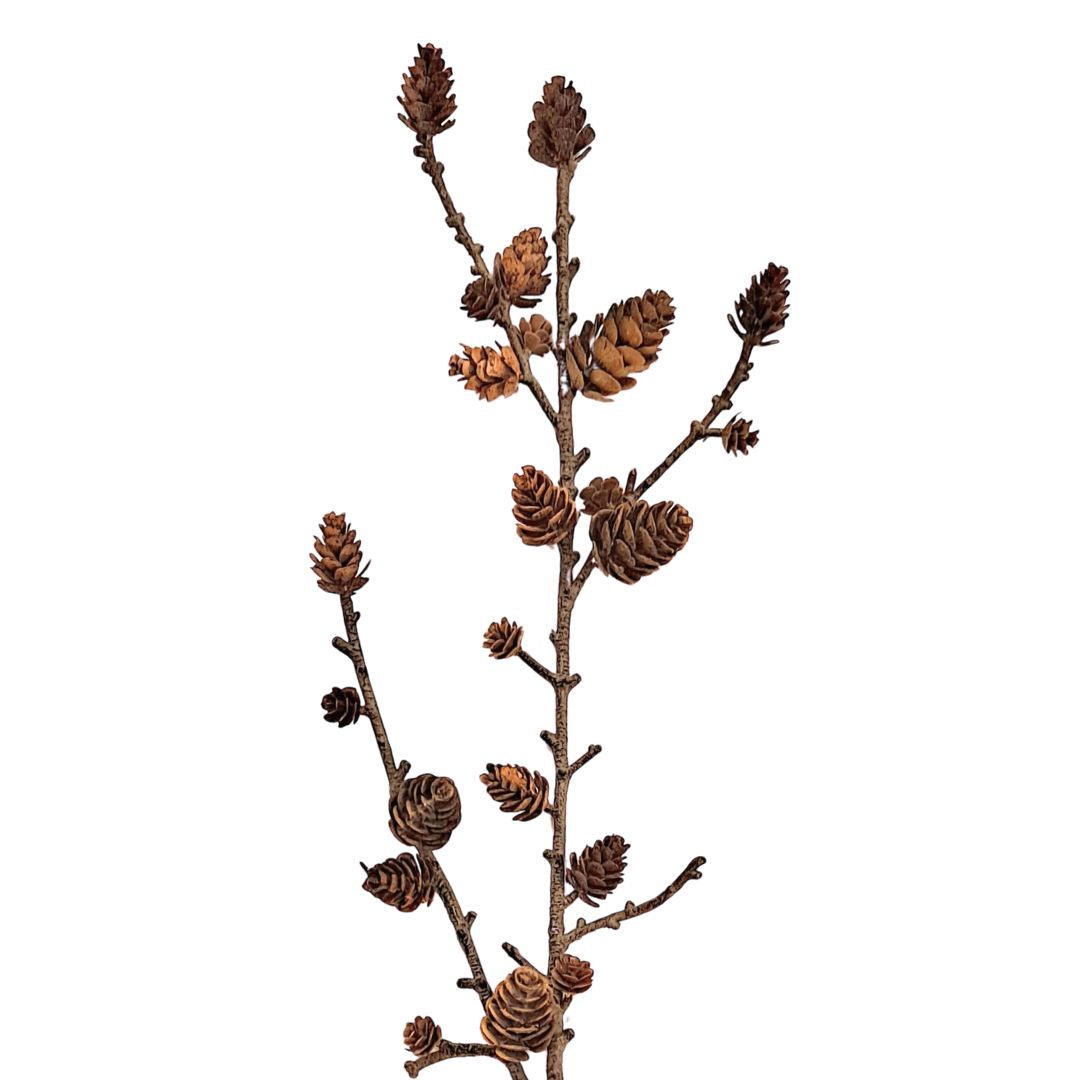 Woodland Pinecone Spray - Brown