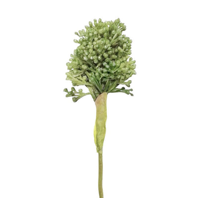 Chive Flower: Green