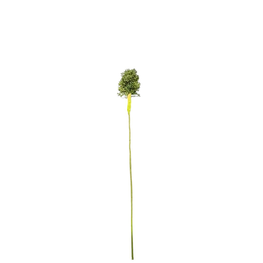 Chive Flower: Green