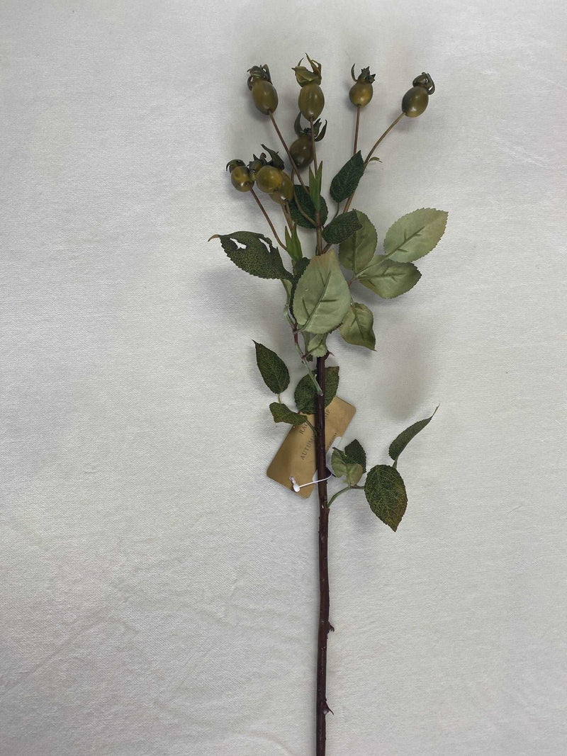 Autumn Rosehip Stem - Green