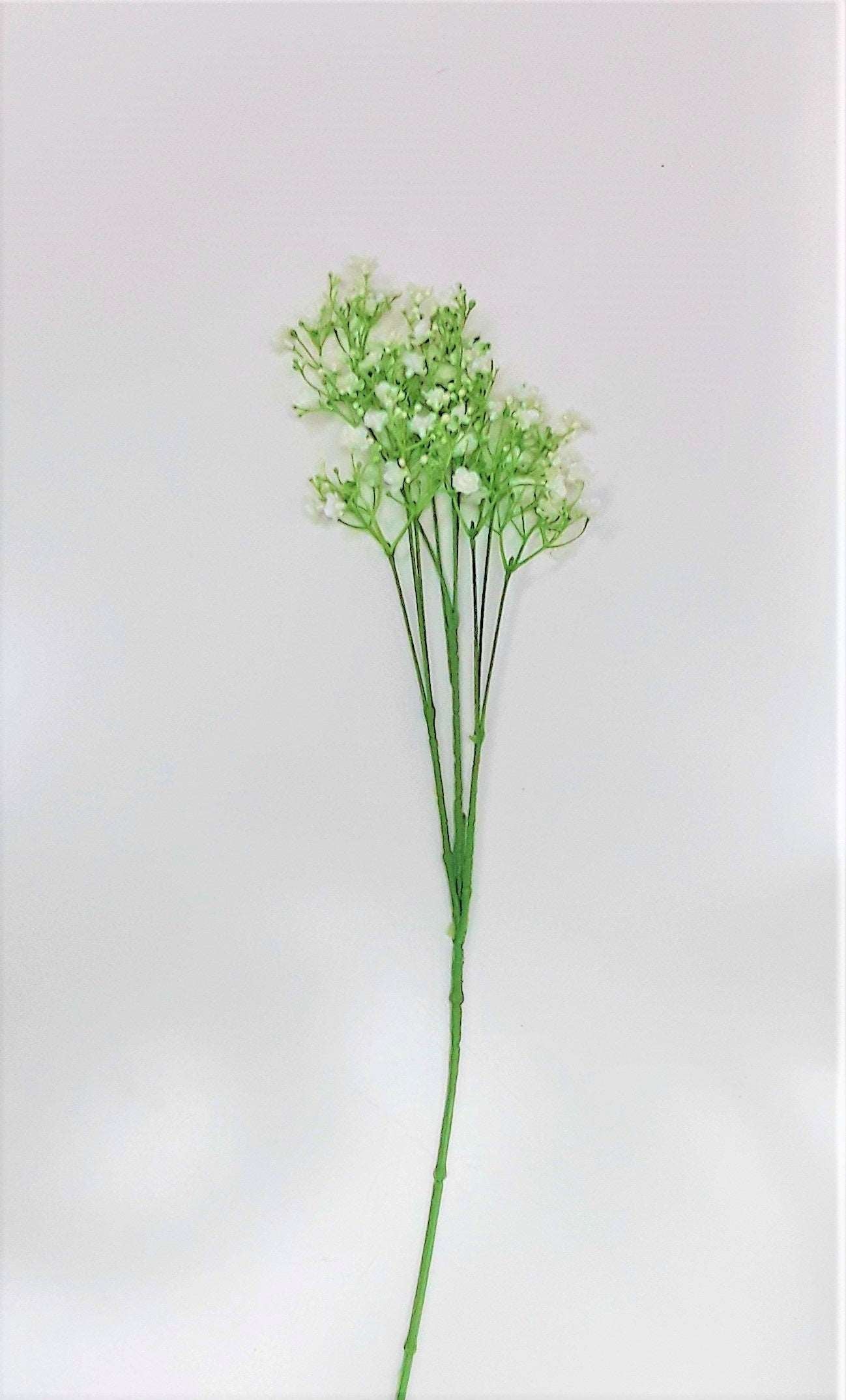 Baby's Breath Spray - Cream