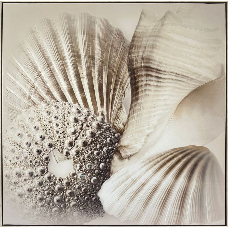 Shells I Canvas with Natural White wash Frame - 800x800
