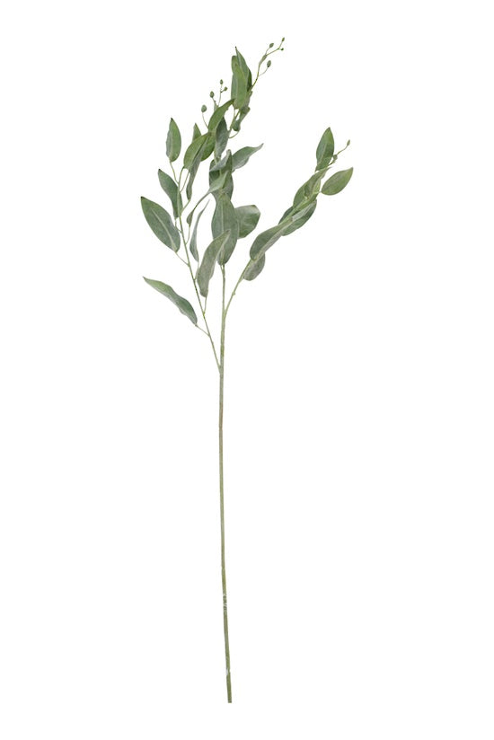 Garden Sage 97cm