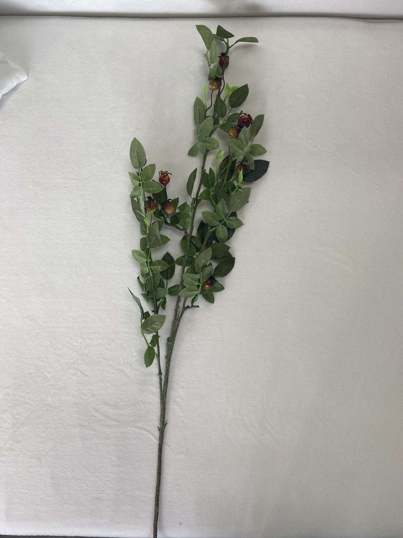 Briar Rosehip Stem - Natural