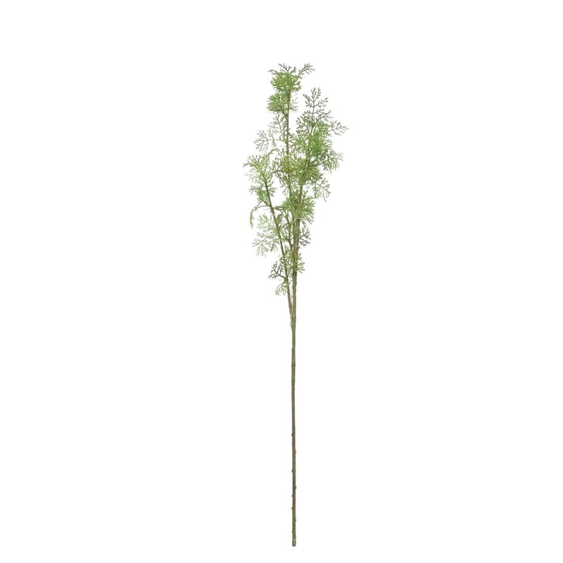 Artemisia: Green