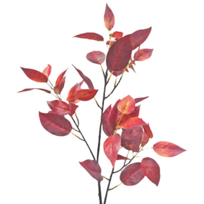 Autumn Cherry Leaf - Autumn