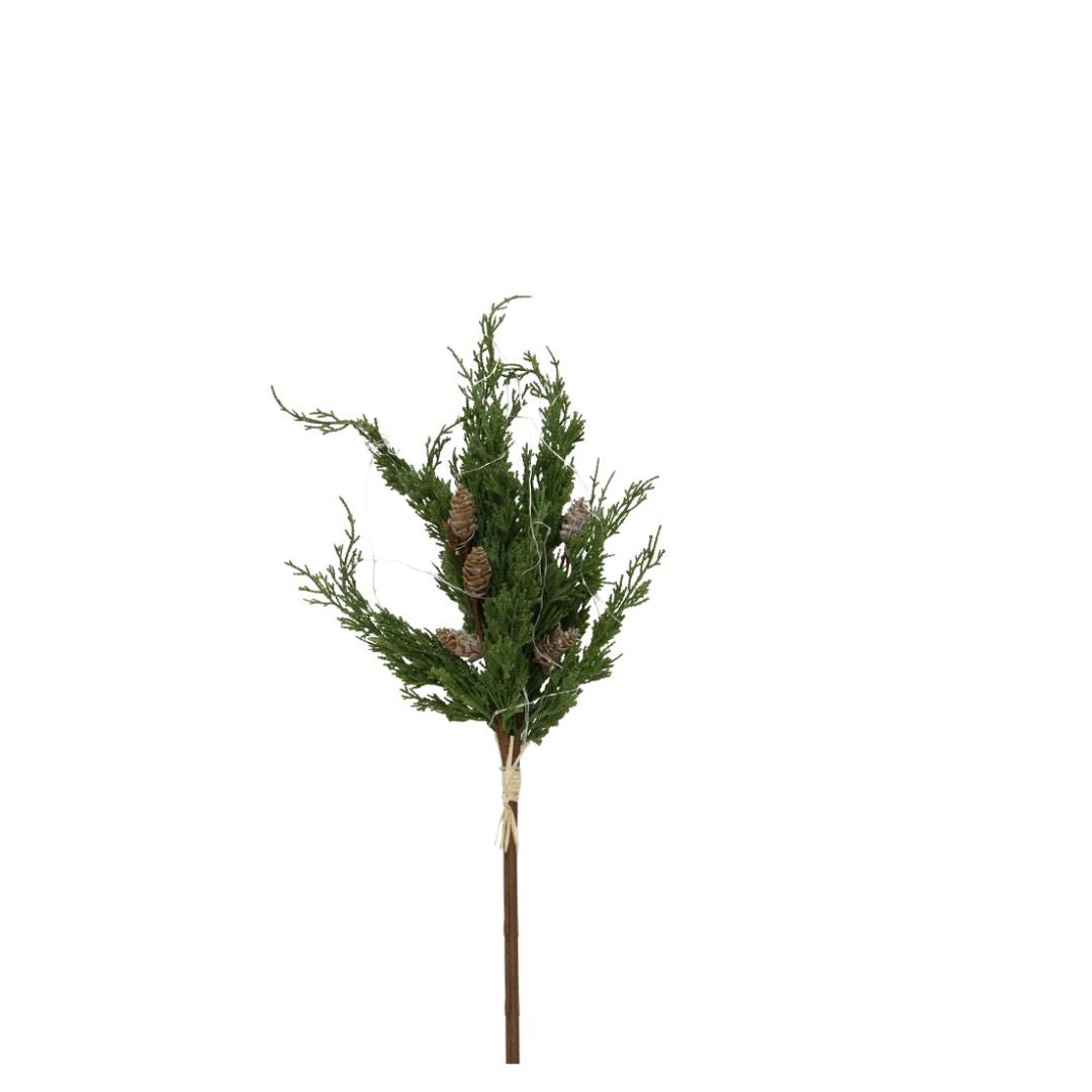 Cedar & Pinecone Branch with Lights - 60cm