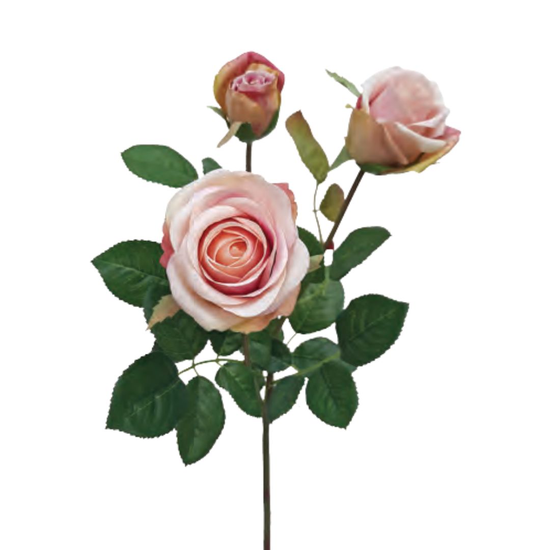 Abbey Rose: Pink