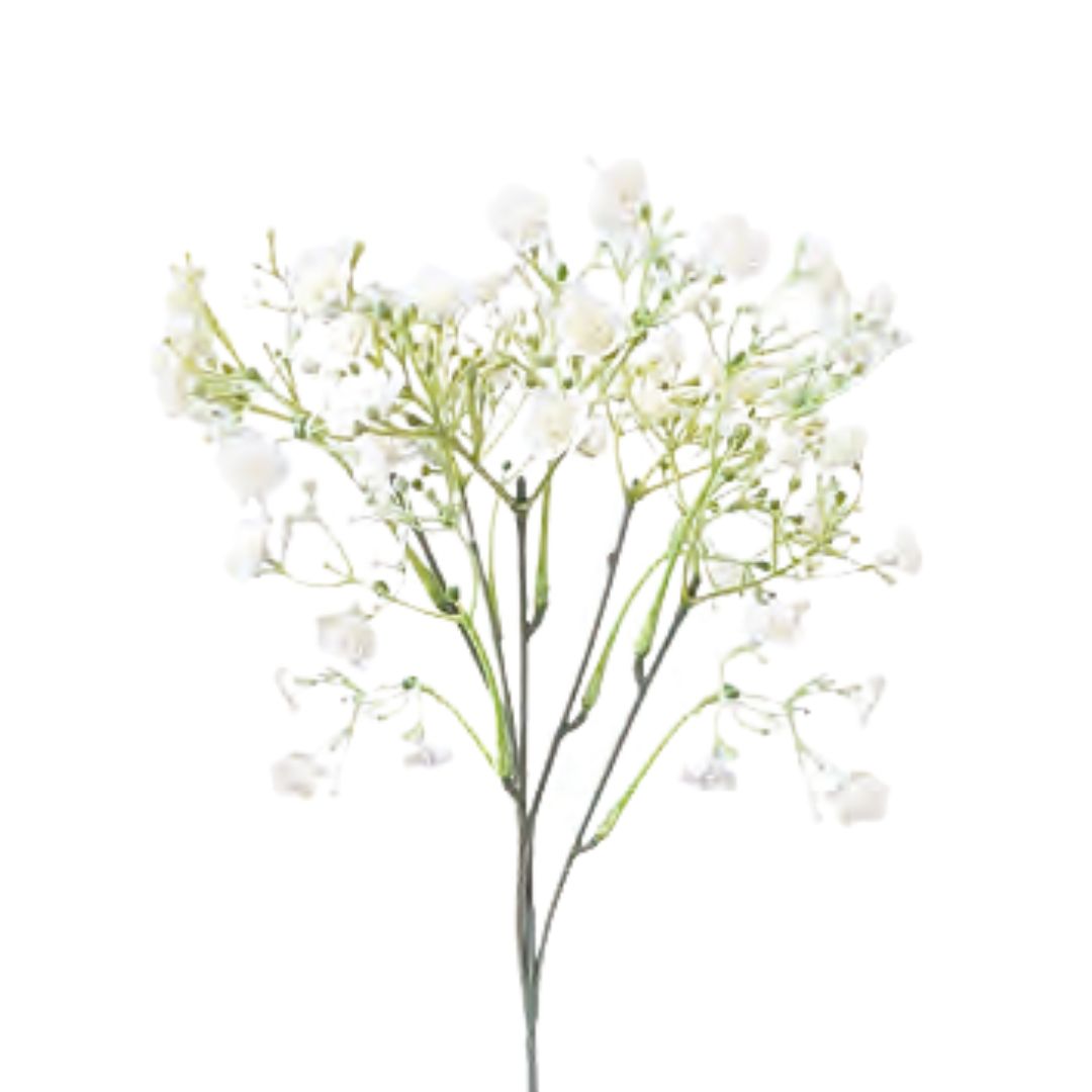 Baby's Breath Spray - Ivory