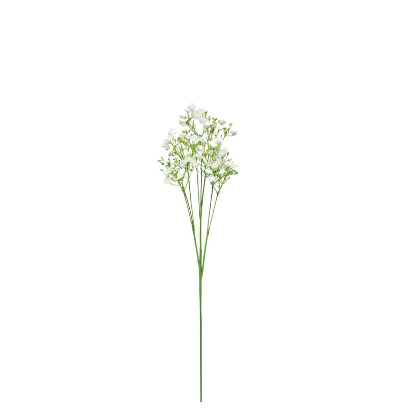 Baby's Breath Spray - Cream