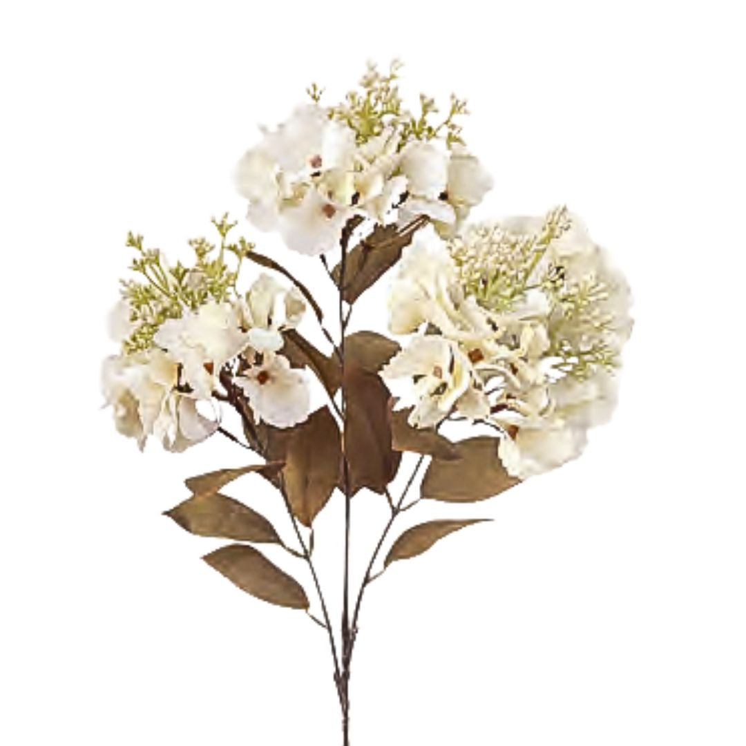 Budding Fall Hydrangea 3F: Antique Ivory