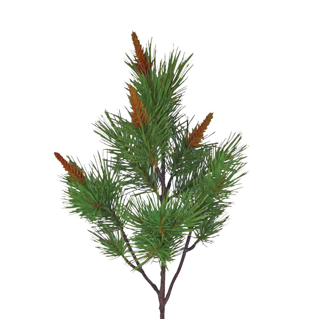 Budding Pinecone Branch: Green - Medium