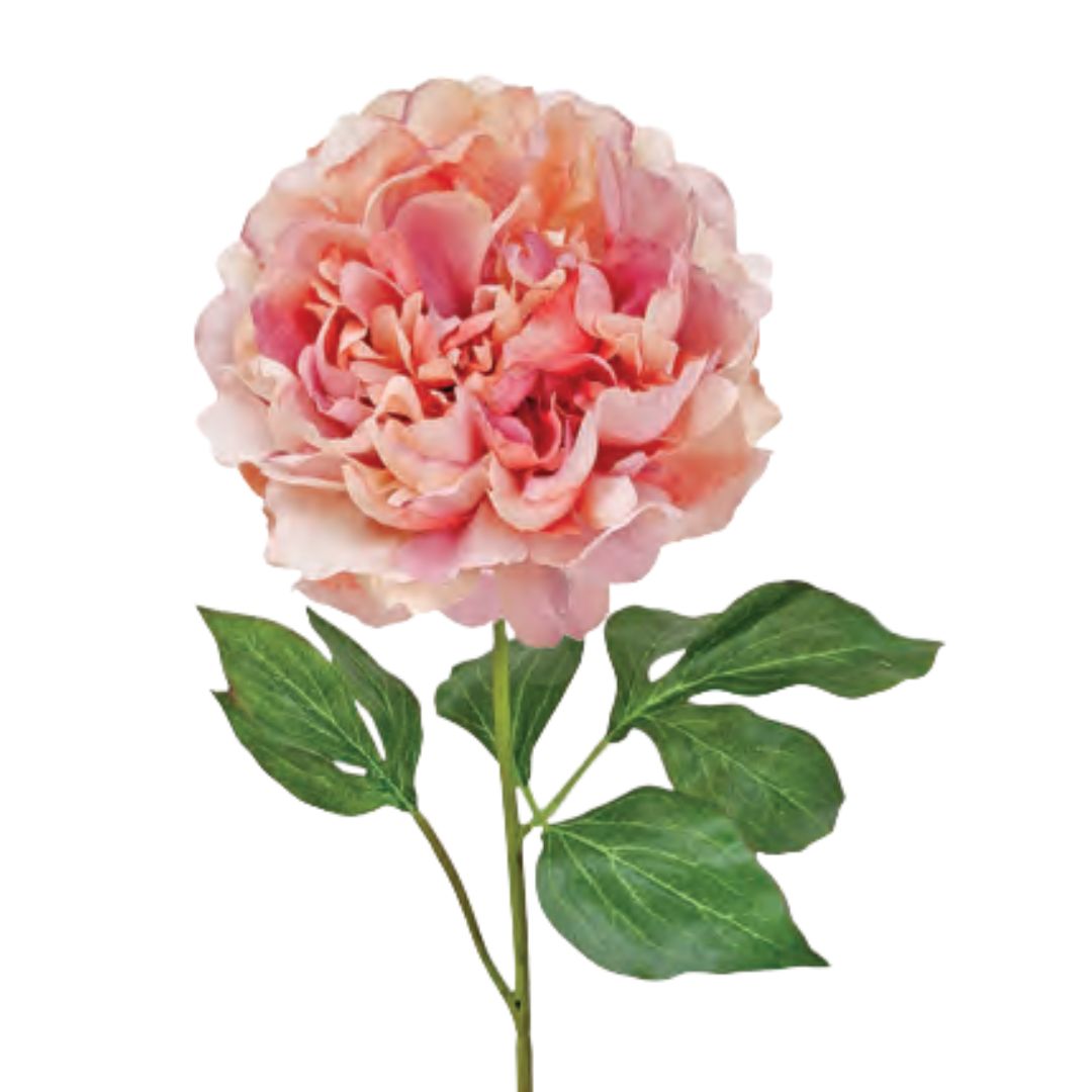 Blooming Peony: Vintage Pink