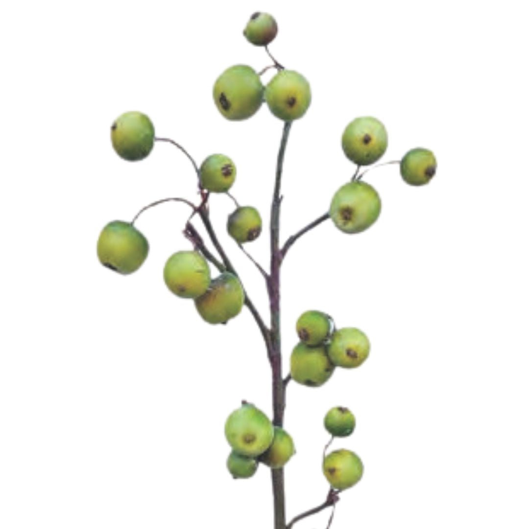 Crabapple Spray - Green