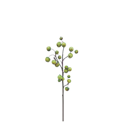 Crabapple Spray - Green