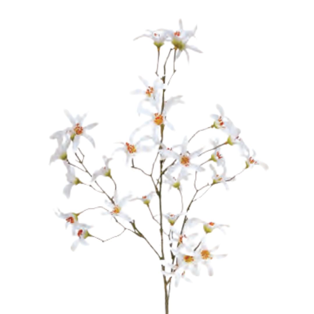 Clematis Spray: White