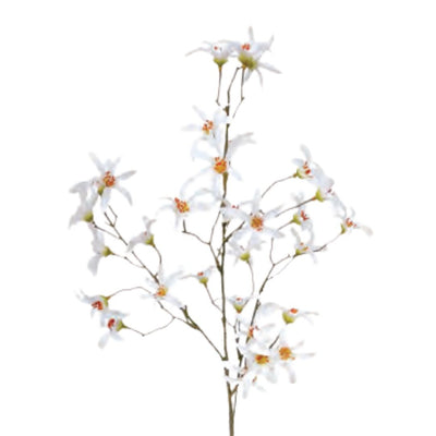 Clematis Spray: White