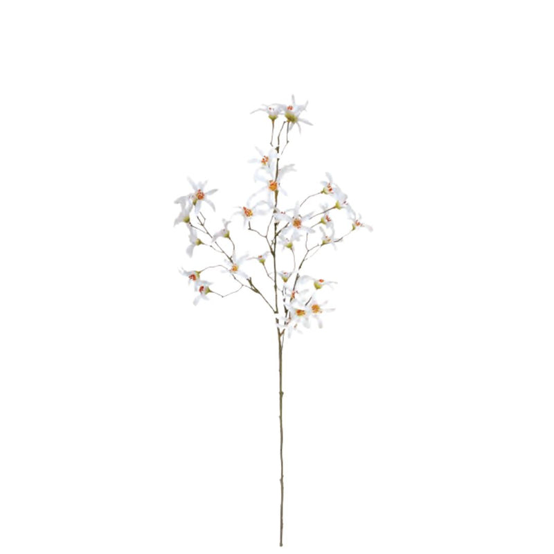 Clematis Spray: White