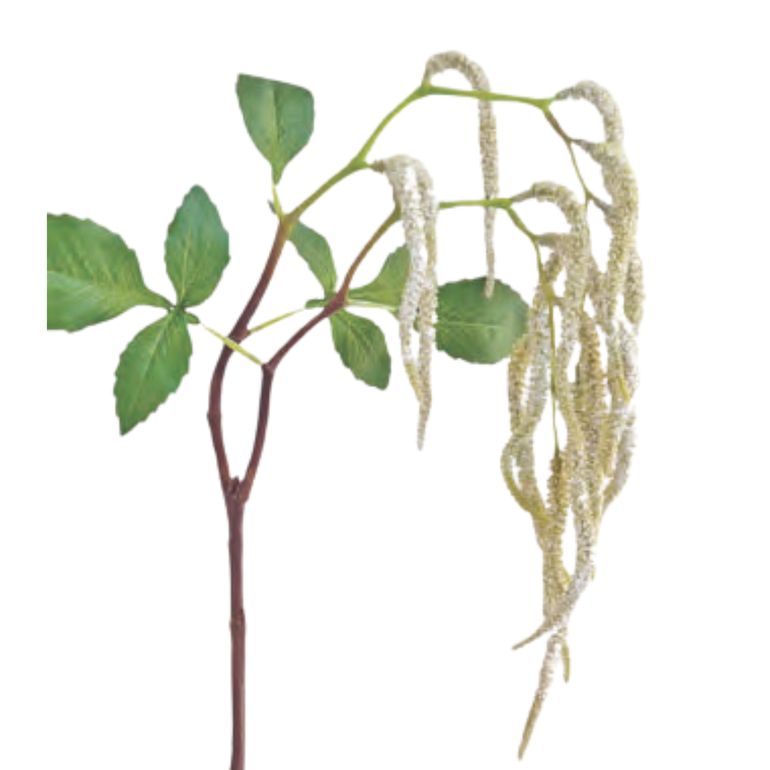 Catkin Spray - Cream