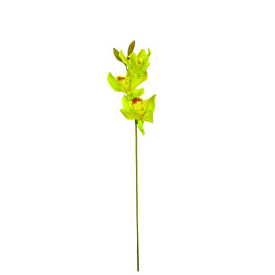 Cymbidium Pick: Green
