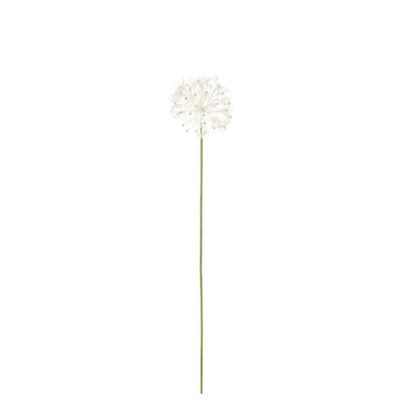 Dandelion: Cream - Small