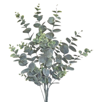 Eucalyptus Bush - Grey/Green
