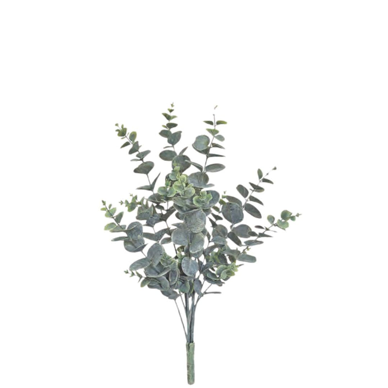 Eucalyptus Bush - Grey/Green