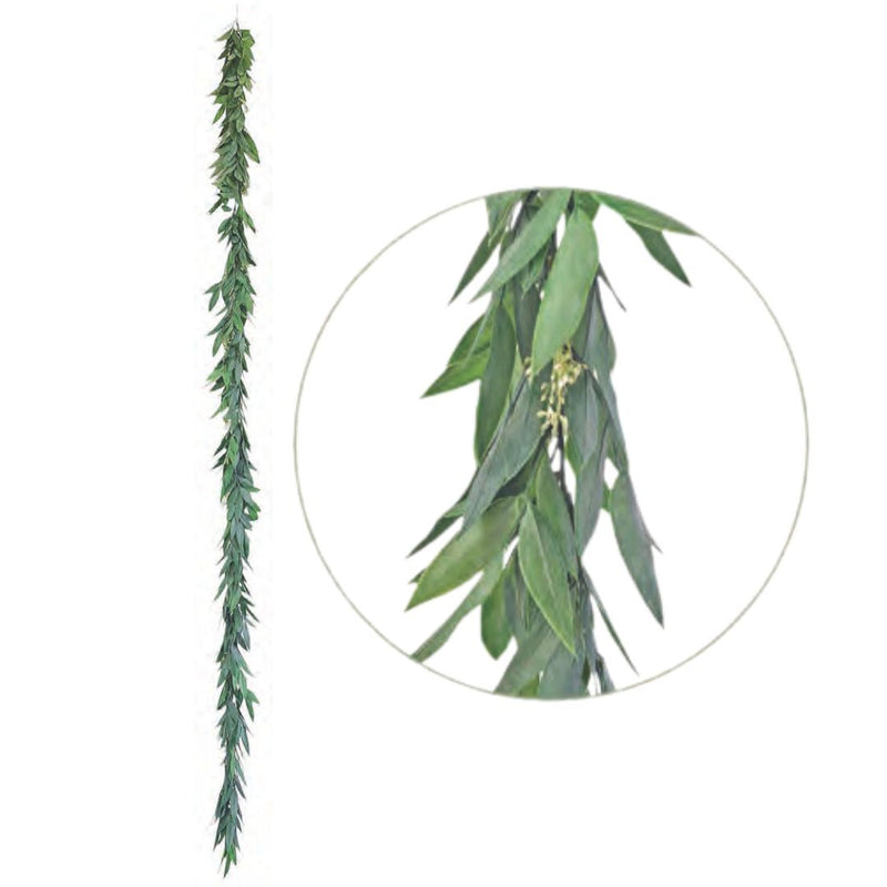 Large Eucalyptus Garland - Green