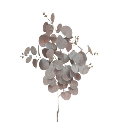 Eucalyptus Spray: Pink