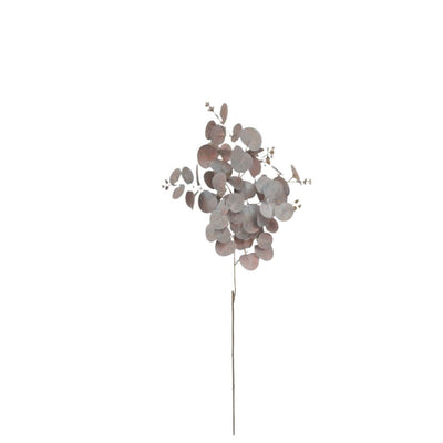 Eucalyptus Spray: Pink