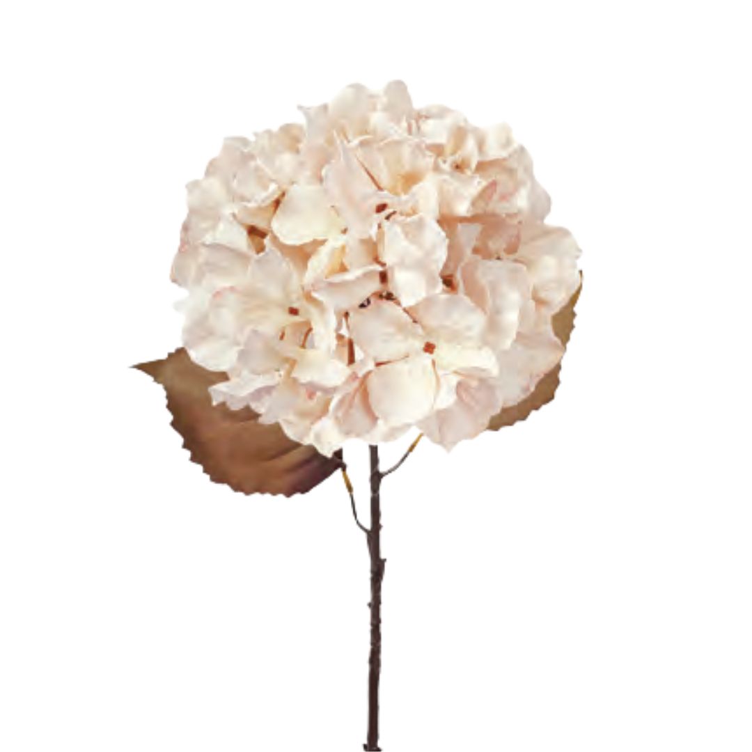 Fall Hydrangea: Antique Cream