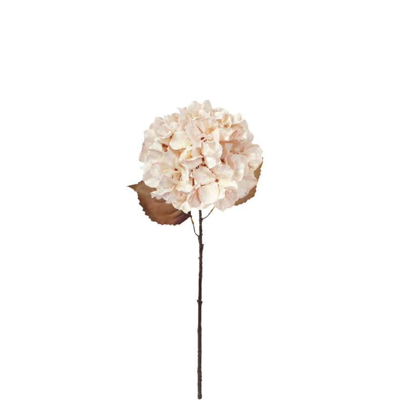 Fall Hydrangea: Antique Cream