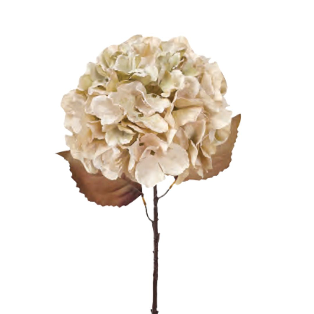 Fall Hydrangea: Antique Ivory