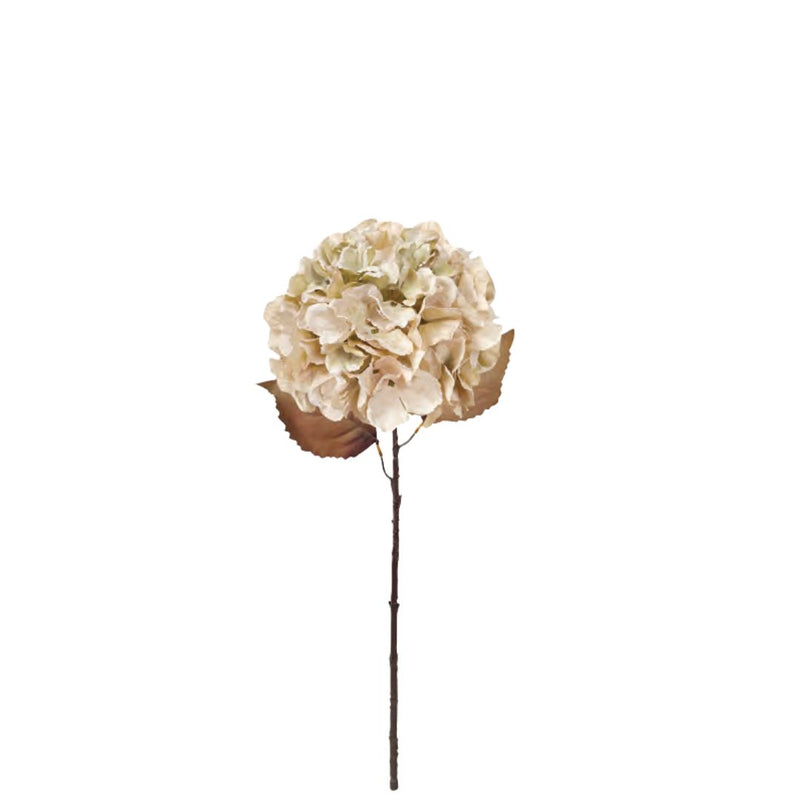Fall Hydrangea: Antique Ivory