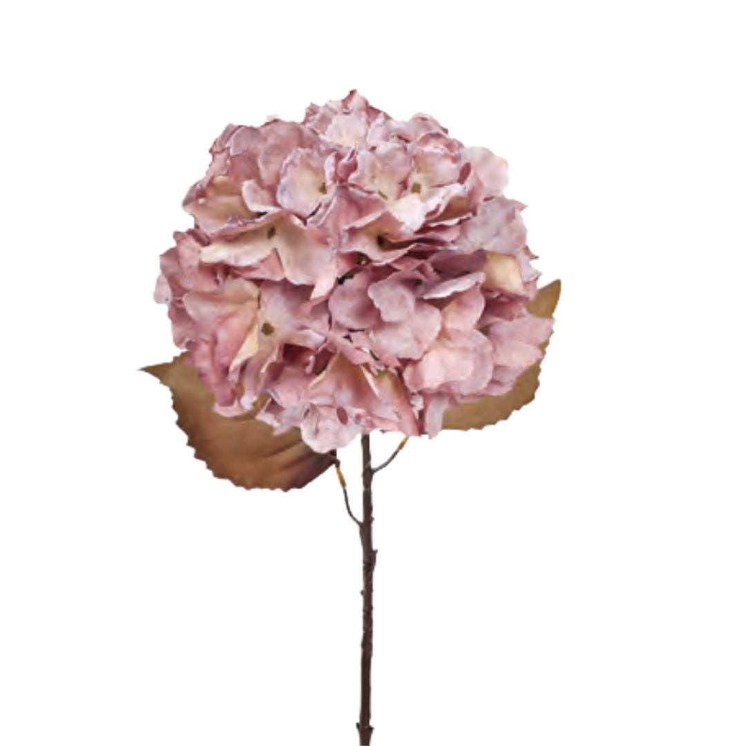 Fall Hydrangea: Antique Pink