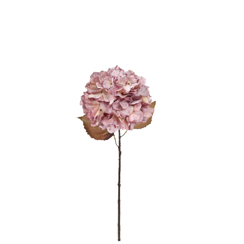 Fall Hydrangea: Antique Pink