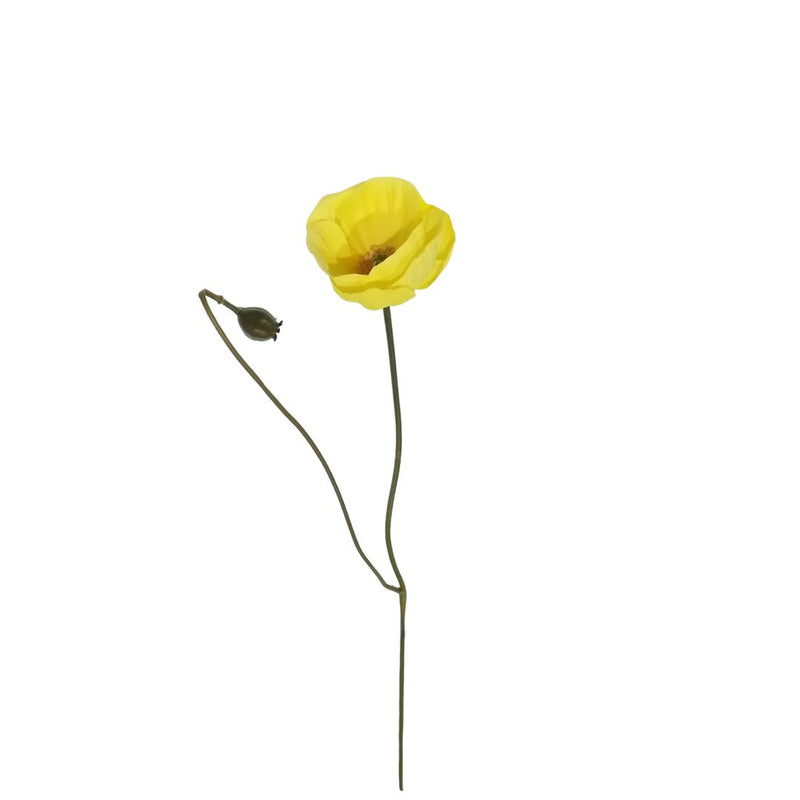 Garden Poppy: Yellow - 70cm
