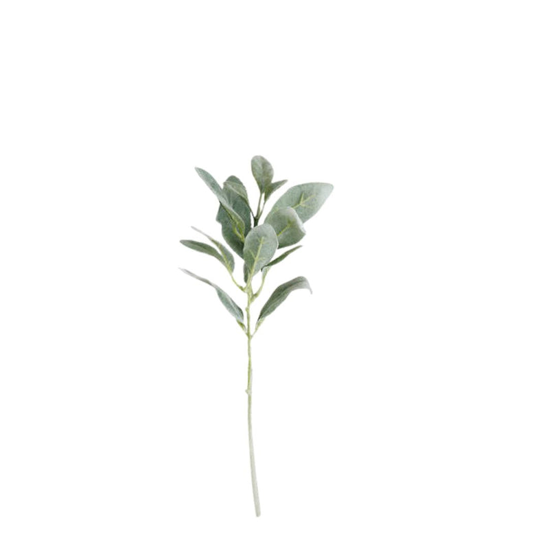 Lambs Ear Short Stem - 38cm