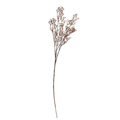 Talinum Spray - 79cm